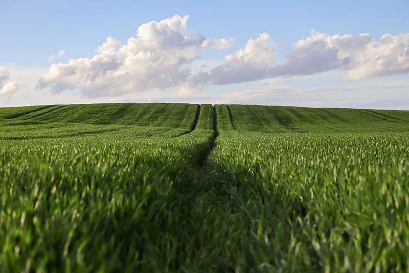 토지거래 허가구역 내 매매 시 확인해야 할 3가지 필수 사항